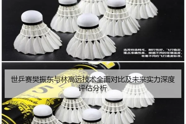 世乒赛樊振东与林高远技术全面对比及未来实力深度评估分析